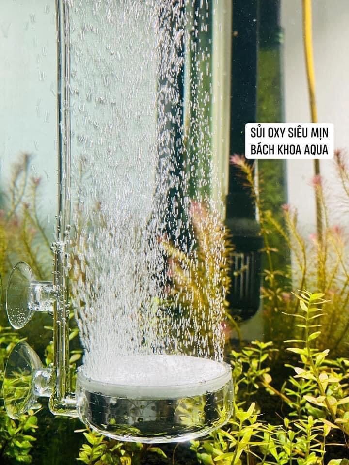 Đĩa sủi Acrylic ngắn 2cm-4cm-6cm